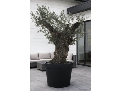 ChatGPT Image 13. 2. 2026, 15 31 28