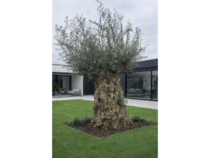 ChatGPT Image 13. 2. 2026, 15 37 20