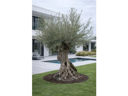 ChatGPT Image 13. 2. 2026, 15 43 10