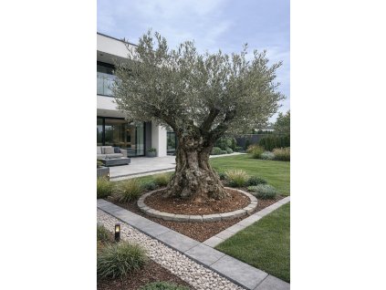 ChatGPT Image 14. 2. 2026, 13 07 56