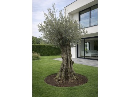 ChatGPT Image 14. 2. 2026, 12 58 18