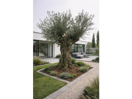 ChatGPT Image 14. 2. 2026, 13 03 53