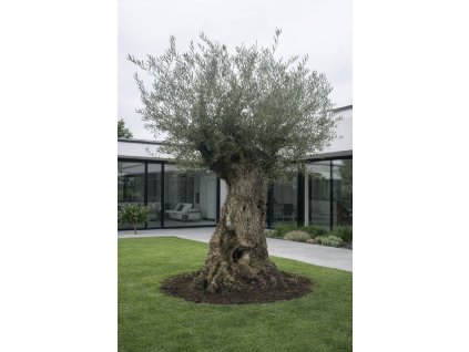 ChatGPT Image 14. 2. 2026, 13 14 43