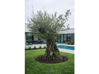 ChatGPT Image 14. 2. 2026, 13 20 29