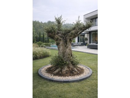 ChatGPT Image 14. 2. 2026, 13 24 47