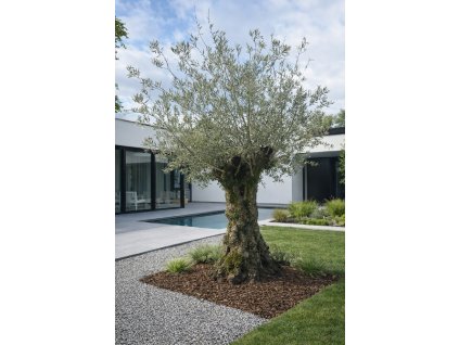 ChatGPT Image 18. 2. 2026, 12 12 06