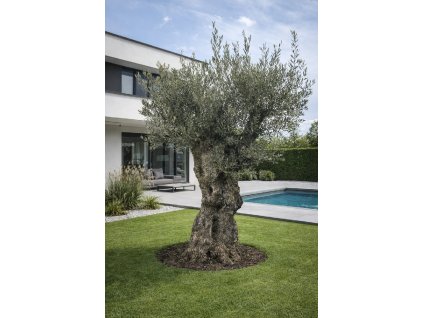 ChatGPT Image 18. 2. 2026, 12 14 12