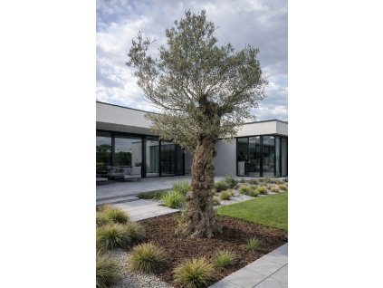 ChatGPT Image 18. 2. 2026, 12 17 09