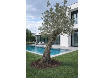 ChatGPT Image 18. 2. 2026, 12 29 46