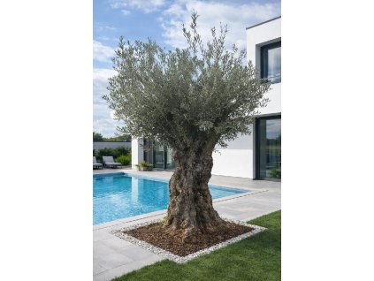 ChatGPT Image 18. 2. 2026, 12 31 53