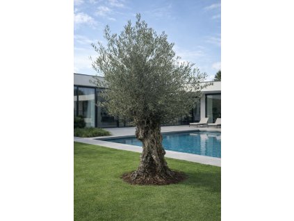 ChatGPT Image 18. 2. 2026, 12 35 30