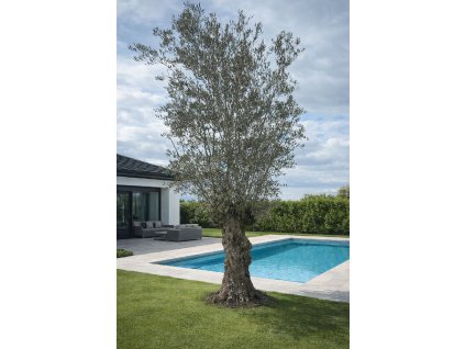 ChatGPT Image 18. 2. 2026, 12 39 22