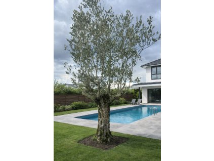 ChatGPT Image 18. 2. 2026, 13 01 17