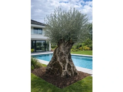 ChatGPT Image 18. 2. 2026, 13 39 59