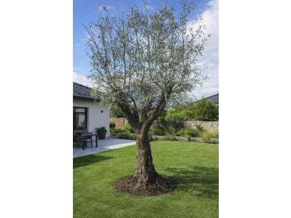 ChatGPT Image 24. 2. 2026, 13 08 35