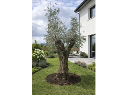 ChatGPT Image 24. 2. 2026, 13 18 24