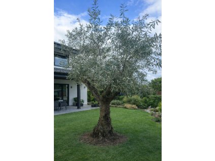 ChatGPT Image 24. 2. 2026, 13 21 33