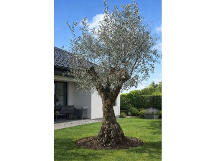 ChatGPT Image 24. 2. 2026, 13 44 30