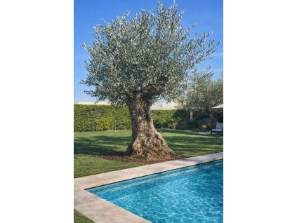 ChatGPT Image 27. 2. 2026, 11 59 26