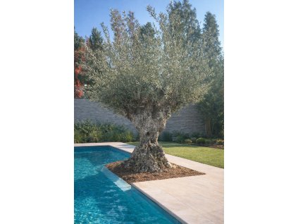 ChatGPT Image 7. 3. 2026, 20 05 36