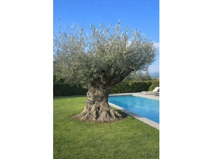 ChatGPT Image 7. 3. 2026, 20 10 37