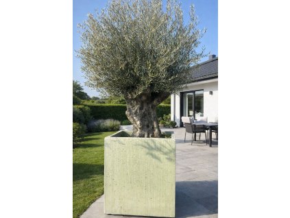 ChatGPT Image 7. 3. 2026, 20 12 27