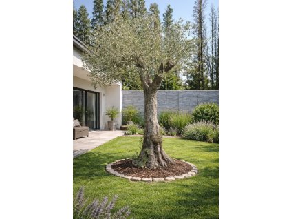 ChatGPT Image 7. 3. 2026, 20 26 07