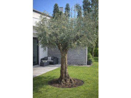 ChatGPT Image 7. 3. 2026, 20 27 31