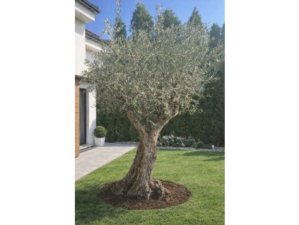 ChatGPT Image 7. 3. 2026, 20 28 57