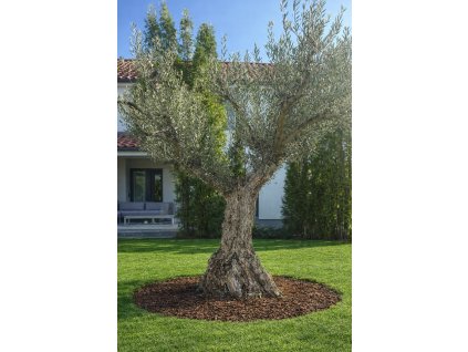 ChatGPT Image 7. 3. 2026, 20 37 24