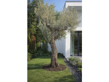 ChatGPT Image 7. 3. 2026, 20 45 35