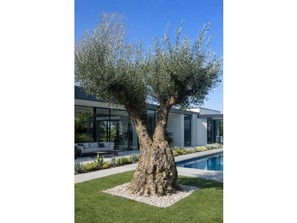 ChatGPT Image 7. 3. 2026, 20 54 47