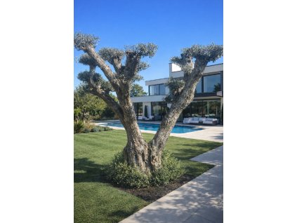 ChatGPT Image 7. 3. 2026, 21 02 31