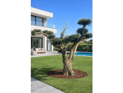 ChatGPT Image 7. 3. 2026, 21 00 56