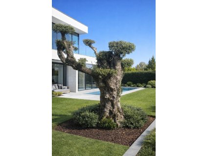 ChatGPT Image 7. 3. 2026, 21 08 29