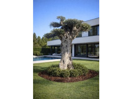 ChatGPT Image 7. 3. 2026, 21 24 17