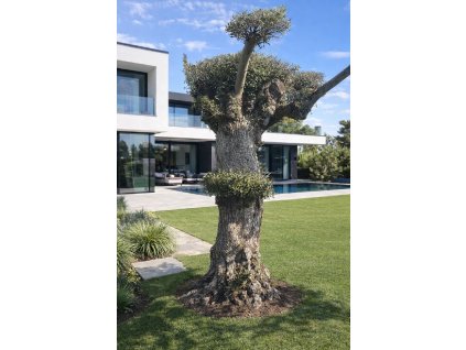 ChatGPT Image 7. 3. 2026, 21 31 51