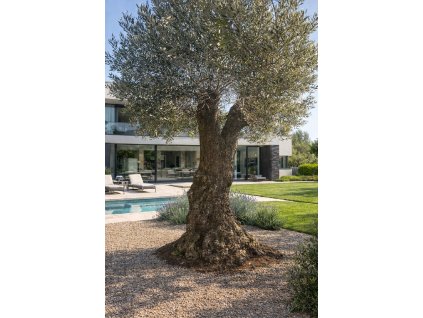 ChatGPT Image 7. 3. 2026, 21 48 09