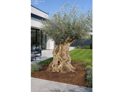 ChatGPT Image 7. 3. 2026, 21 56 14