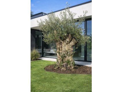 ChatGPT Image 7. 3. 2026, 21 58 42