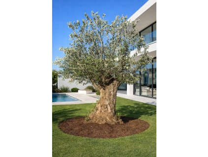 ChatGPT Image 7. 3. 2026, 22 03 10