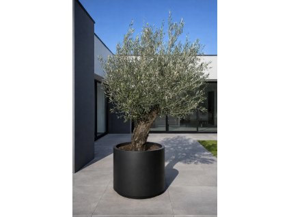 ChatGPT Image 7. 3. 2026, 22 06 16