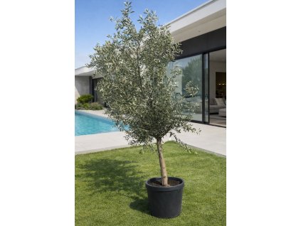 ChatGPT Image 10. 3. 2026, 15 07 37