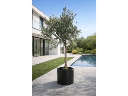 ChatGPT Image 10. 3. 2026, 15 08 46