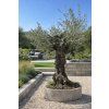 ChatGPT Image 8. 4. 2026, 13 49 17