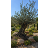 ChatGPT Image 23. 4. 2026, 11 01 19