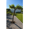 ChatGPT Image 23. 4. 2026, 11 23 34