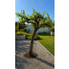 ChatGPT Image 23. 4. 2026, 11 28 42