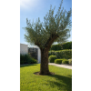 ChatGPT Image 23. 4. 2026, 11 43 13