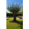 ChatGPT Image 23. 4. 2026, 11 47 16